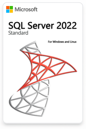 Microsoft SQL Server 2022 Standard