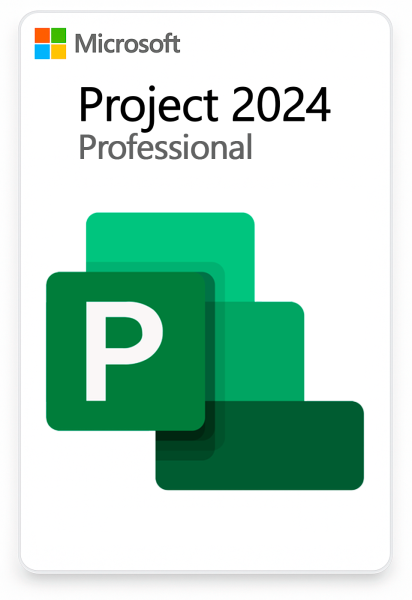Microsoft Project Professional 2024
